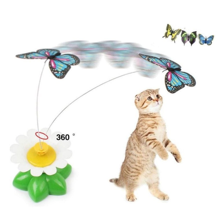 dcbd5e670d846dc889c327b93a674f86.jpg